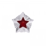 Звезда малая серебряная Роспотребнадзор 14 мм - Звезда малая серебряная Роспотребнадзор 14 мм