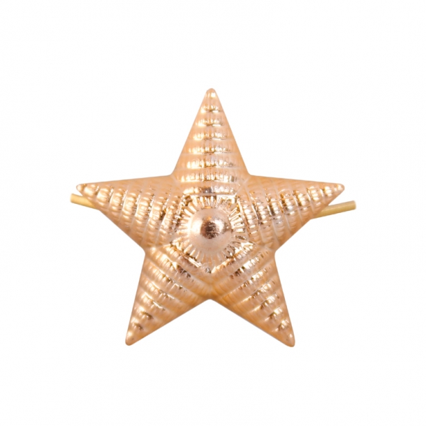 Звезда 13 мм золотая рифленая  