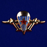 Значок эмблема ВДВ из металла - Значок эмблема ВДВ из металла