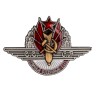 Знак "Отличный воздушный боец" (копия) - Знак "Отличный воздушный боец" (копия)