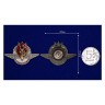 Знак "Отличный воздушный боец" (копия) - Знак "Отличный воздушный боец" (копия)