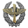 Знак Красного военного лётчика РККА - Знак Красного военного лётчика РККА