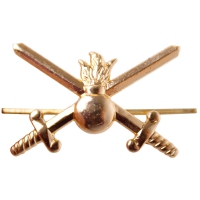 Эмблема (знак) петличная (петлица) Сухопутных войск нового образца (золотая) 