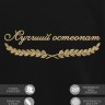 Свитшот "лучший остеопат" - Свитшот "лучший остеопат"