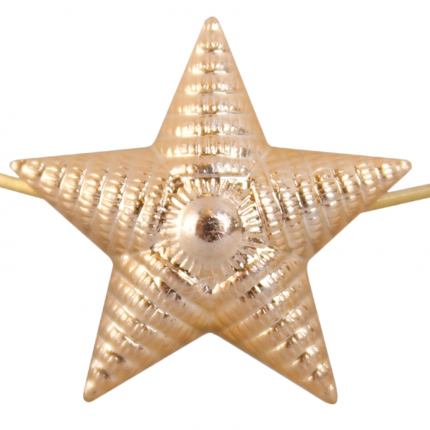 Звезда 20 мм золотая рифленая  