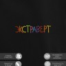 Худи "экстраверт" - Худи "экстраверт"
