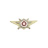 Знак Росгвардии "Квалификационное звание" Мастер - Знак Росгвардии "Квалификационное звание" Мастер
