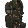 Рюкзак тактический Woodland (30 литров) - Рюкзак тактический Woodland (30 литров)
