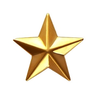 Золотая звезда 13 мм (малая)