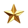 Золотая звезда 13 мм (малая) - 2125bv4.jpg