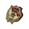 Сувенирный нагрудный знак "Борцу за власть Советов" - Сувенирный нагрудный знак "Борцу за власть Советов"
