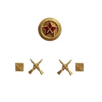 Комплект знаков различия младший лейтенант ВОХР
