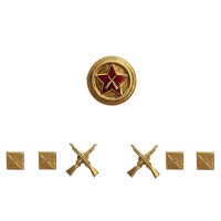 Комплект знаков различия лейтенант ВОХР