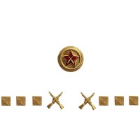 Комплект знаков различия старший лейтенант ВОХР
