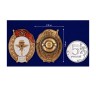 Знак об окончании Авиационно-планерного училища СССР (копия) - Знак об окончании Авиационно-планерного училища СССР (копия)