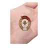 Знак об окончании Авиационно-планерного училища СССР (копия) - Знак об окончании Авиационно-планерного училища СССР (копия)
