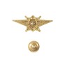 Квалификационный знак "Мастер" МО РФ - Квалификационный знак "Мастер" МО РФ