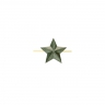 Зеленая звезда 13 мм защитная (малая) - zelenaya_zvezda_13_mm_zashchitnaya_malaya.jpg