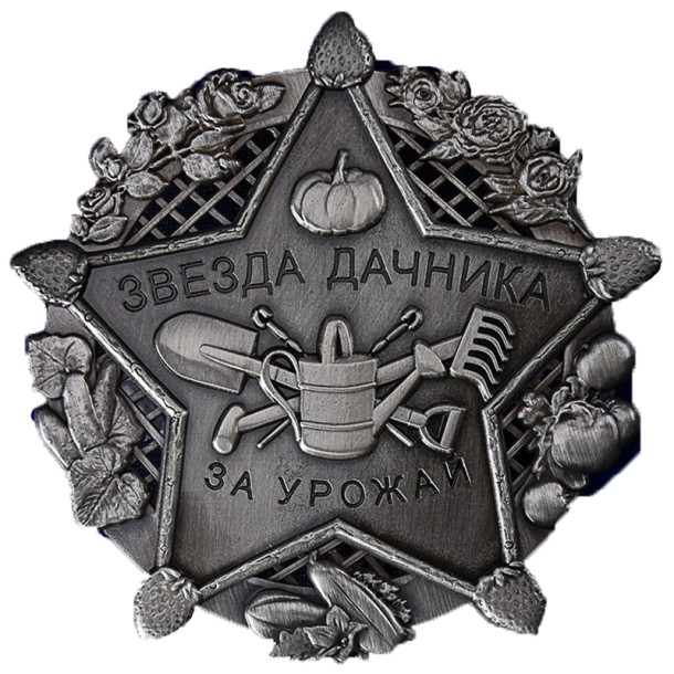 Сувенирный нагрудный знак "Звезда дачника" Сувенирный нагрудный знак "Звезда дачника"