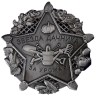 Сувенирный нагрудный знак "Звезда дачника" - Сувенирный нагрудный знак "Звезда дачника"