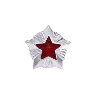 Звезда малая серебряная Роспотребнадзор 14 мм
