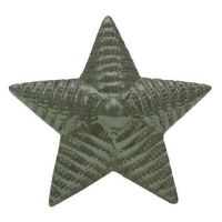 Звезда малая с рубчиком, защитная, 13 мм
